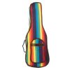 Rainbow Explosion Hippie Gheri Ukulele Bag